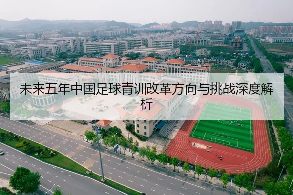 未来五年中国足球青训改革方向与挑战深度解析